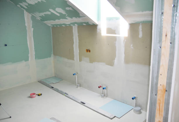 Best Mold-Related Health Consultation  in Mohave Valley, AZ