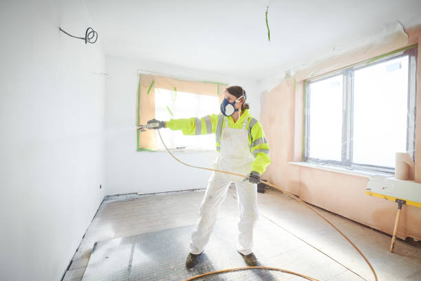 Best Mold Damage Restoration  in Mohave Valley, AZ