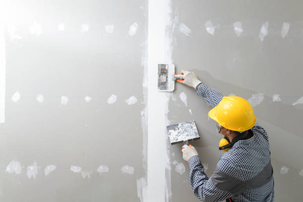 Best Environmental Consulting for Mold Prevention  in Mohave Valley, AZ