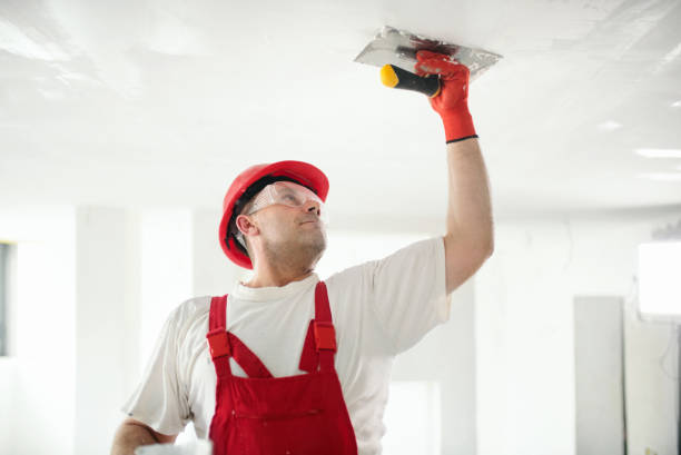 Best Asbestos and Lead Testing During Mold Inspection  in Mohave Valley, AZ