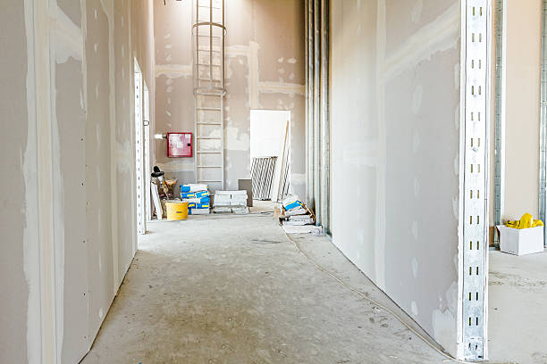 Best Dehumidification Services  in Mohave Valley, AZ