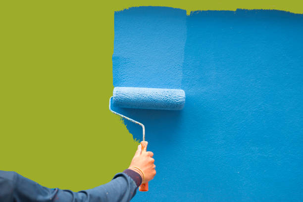 Mohave Valley, AZ Mold Removal Company